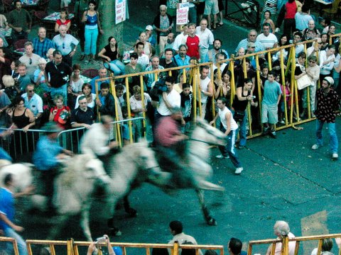 A crowded street, with a fenced off area and horses trotting by.