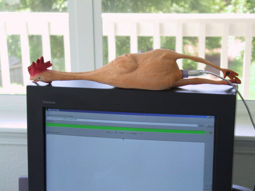 Picture of a computer with a rubber chicken plugged into it